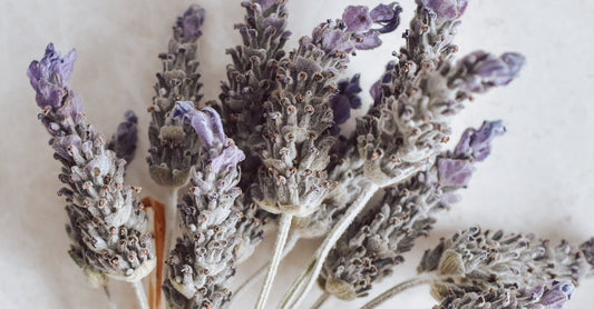 5 DIY Scented Sachets to Keep Your Home Fresh & Inviting Year-Round