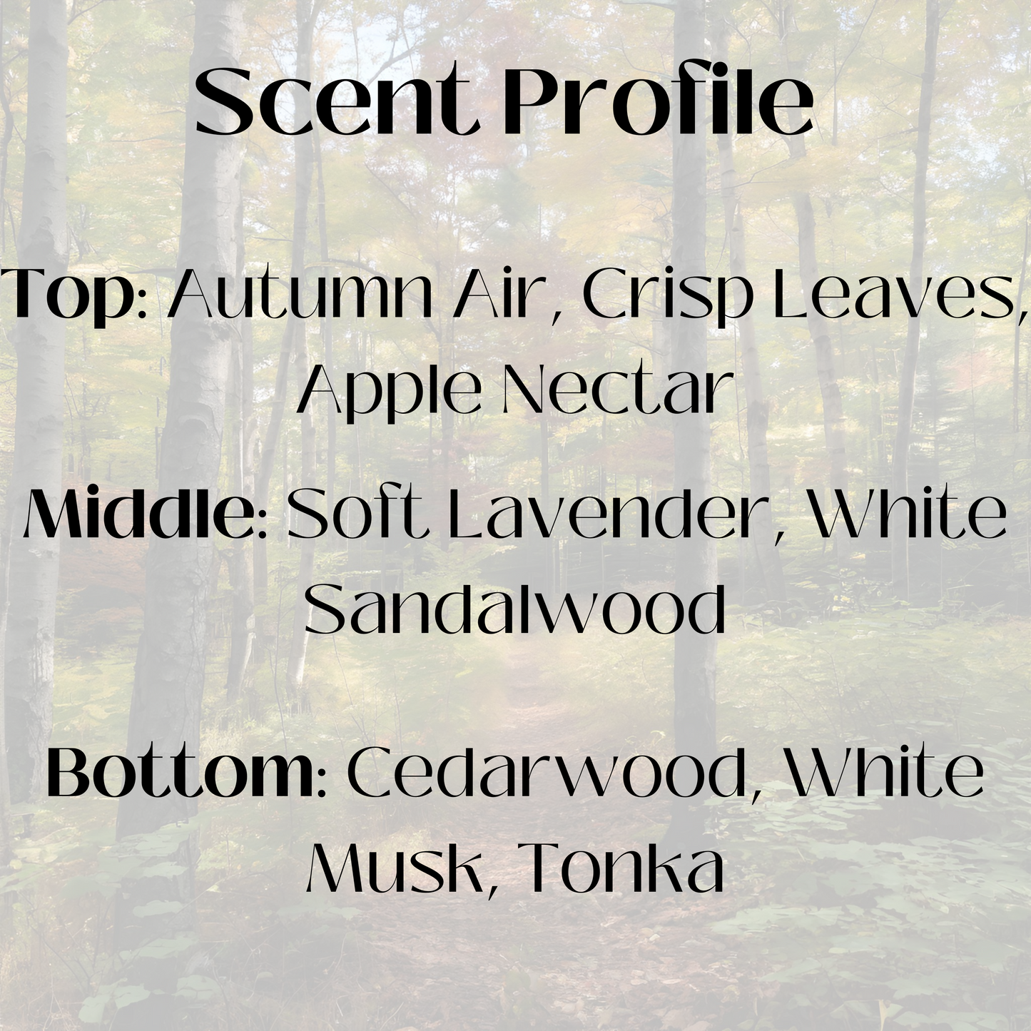 Scent profile graphic for a candle with a forest background. The fragrance features top notes of autumn air, crisp leaves, and apple nectar; middle notes of soft lavender and white sandalwood; and base notes of cedarwood, white musk, and tonka.