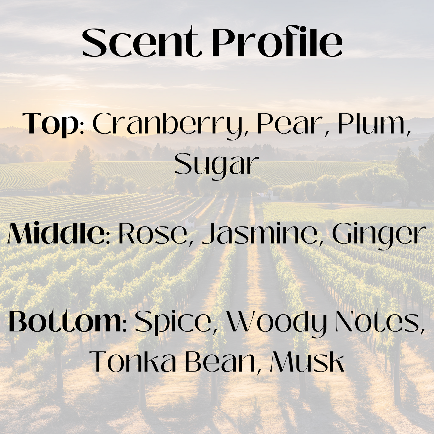 Scent profile graphic for a candle with a vineyard at sunset background. The fragrance features top notes of cranberry, pear, plum, and sugar; middle notes of rose, jasmine, and ginger; and base notes of spice, woody notes, tonka bean, and musk.