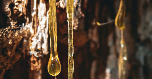 What Does Dark Amber and Rosewood Smell Like in a Home Fragrance?