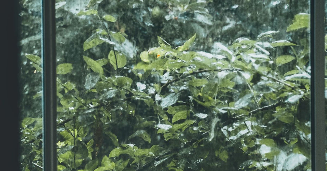 Atmospheric Home Scents Are Trending: How to Make Your Space Feel Like Summer Rain, Salt Air, or a Garden Walk