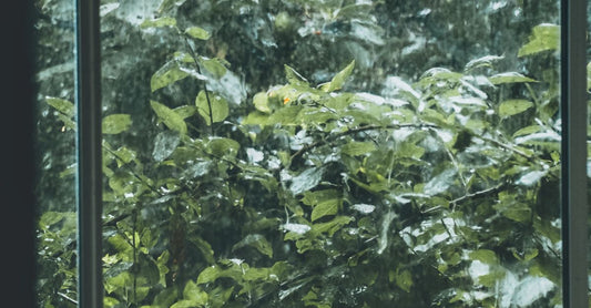 Atmospheric Home Scents Are Trending: How to Make Your Space Feel Like Summer Rain, Salt Air, or a Garden Walk