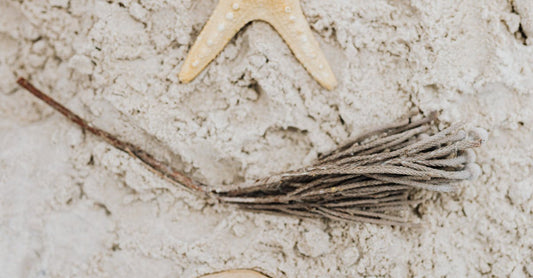 How to Create a Coastal Retreat at Home: Decorating Tips and Sea Salt & Orchid Scents