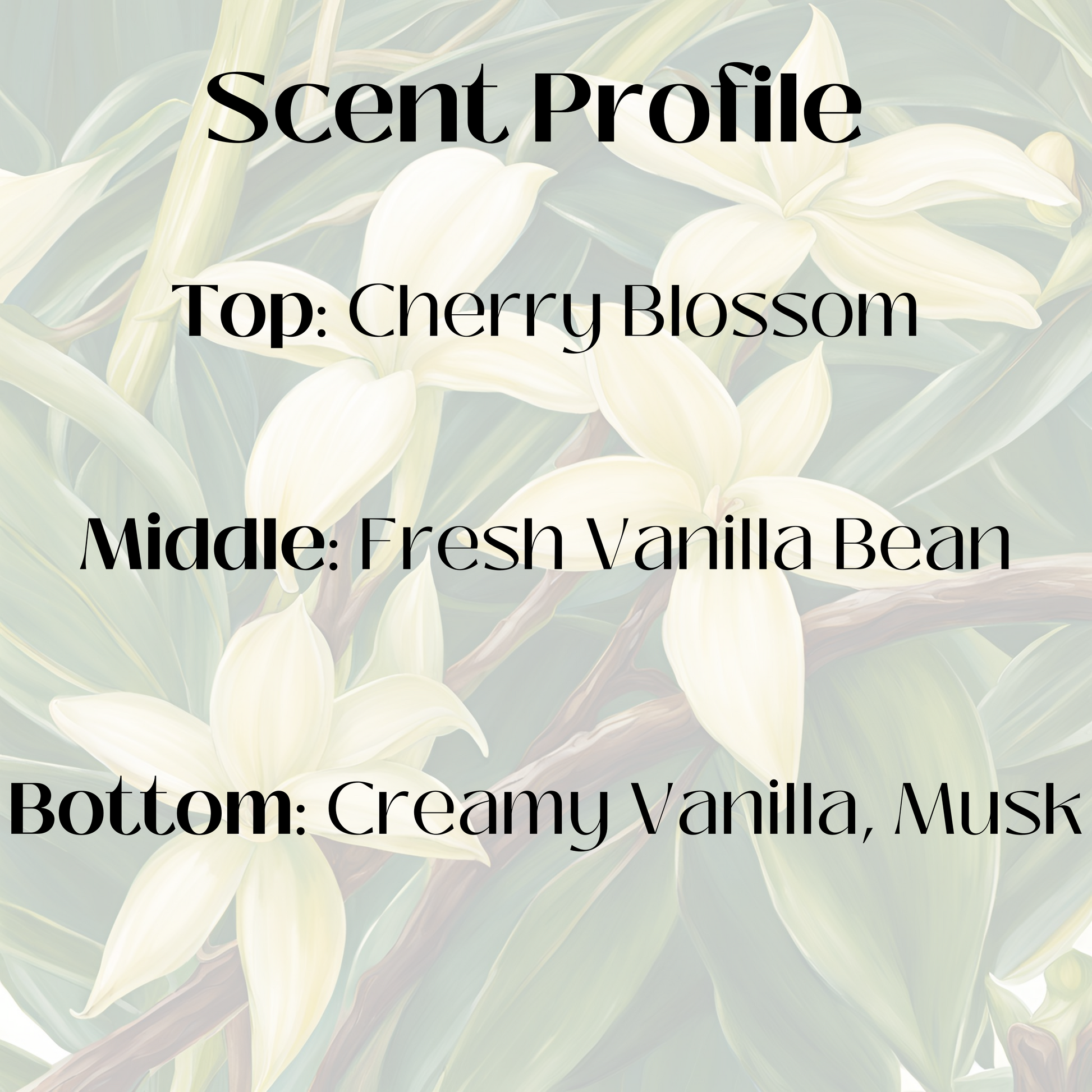 Scent profile graphic for a candle with a background of white flowers. The fragrance features top notes of cherry blossom; middle notes of fresh vanilla bean; and base notes of creamy vanilla and musk.