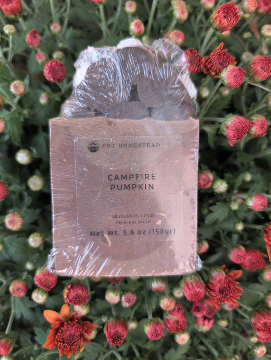 Campfire Pumpkin Frosted Soap