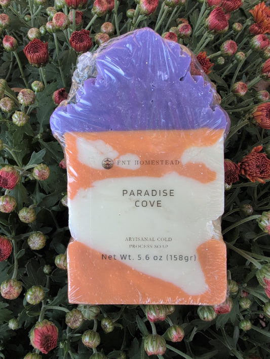 Paradise Cove Soap