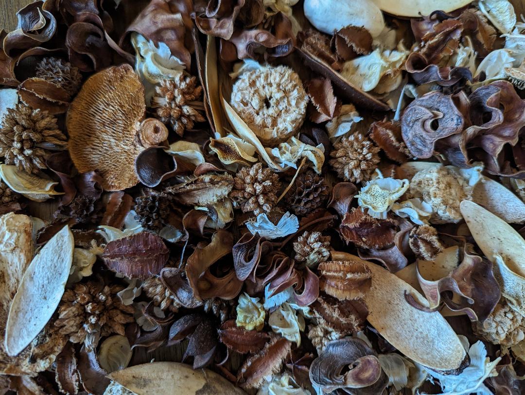 A close-up of a collection of potpourri pieces in various shades of brown, beige, and white. The pieces are made of natural materials such as wood, bark, and dried flowers. The potpourri is arranged in a random pattern, creating a textured and visually appealing display.
